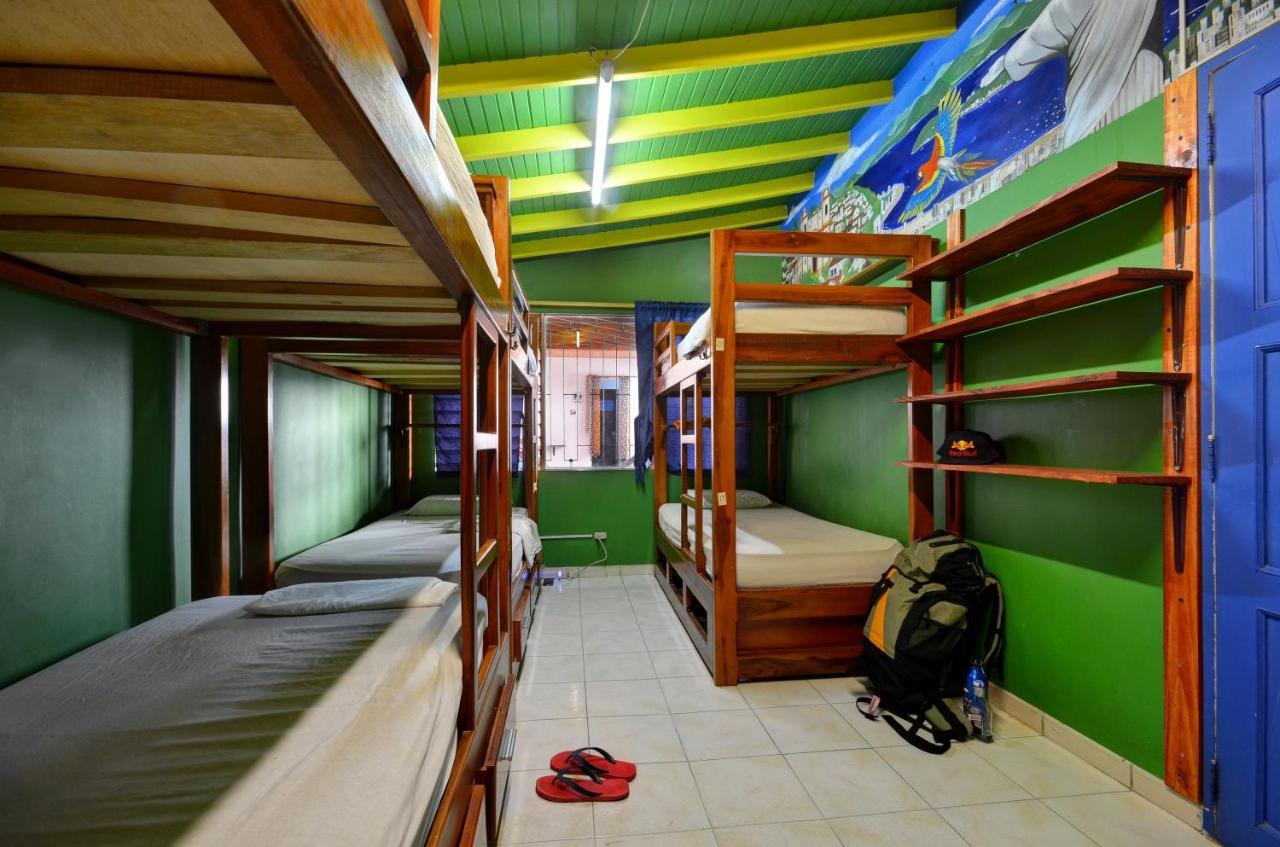 Bed in 8-Bed Mixed Dormitory Room